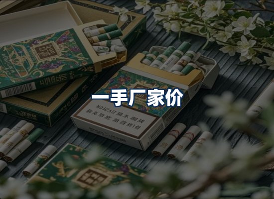 专业团队办公环境